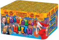 Новогодние цветы Фейерверк купить в Буе | buj.salutsklad.ru