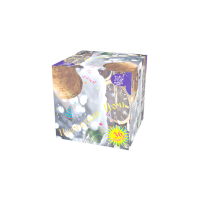 Новогодняя ночь Салют купить в Буе | buj.salutsklad.ru