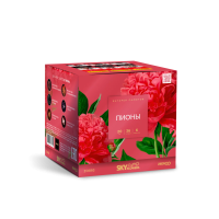 Пионы Салют купить в Буе | buj.salutsklad.ru