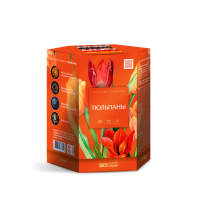 Тюльпаны Салют купить в Буе | buj.salutsklad.ru