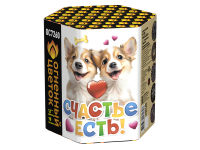 Счастье есть! Салют купить в Буе | buj.salutsklad.ru