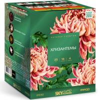 Хризантемы Фейерверк купить в Буе | buj.salutsklad.ru