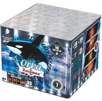 Косатка Фейерверк купить в Буе | buj.salutsklad.ru