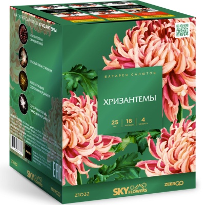 Хризантемы Фейерверк купить в Буе | buj.salutsklad.ru