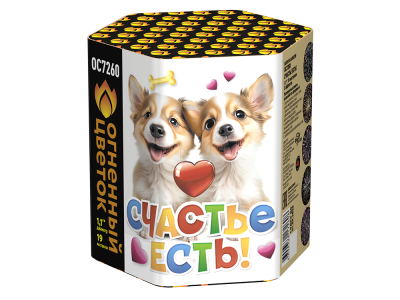 Счастье есть! Салют купить в Буе | buj.salutsklad.ru